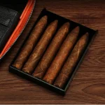 Humidor en cuir de luxe pour cigars