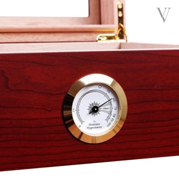 Humidor élégant en verre pour les amateurs de cigares