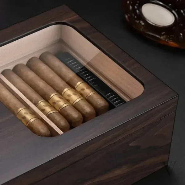 Elegancia Vision - Design moderne pour collectionneurs