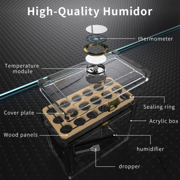 Cave à cigares de luxe avec contrôle de l'humidité