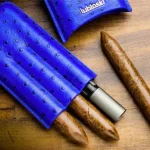 Élégance intemporelle pour conserver vos cigares