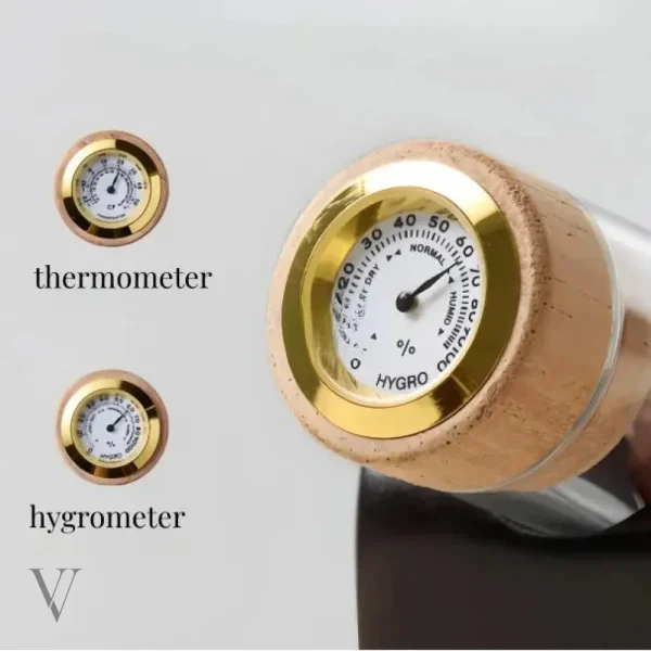Infuseur Scala pour une expérience unique